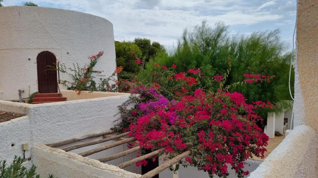 Casas Rurales Cortijo Torreblanca Parque Cabo De Gata El Pozo de los Frailes Exteriör bild