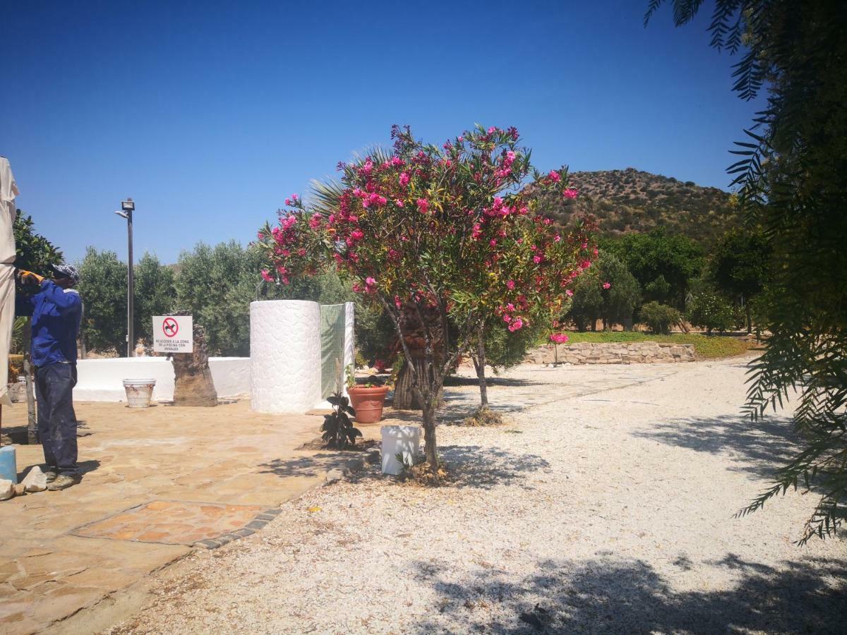 Casas Rurales Cortijo Torreblanca Parque Cabo De Gata El Pozo de los Frailes Exteriör bild